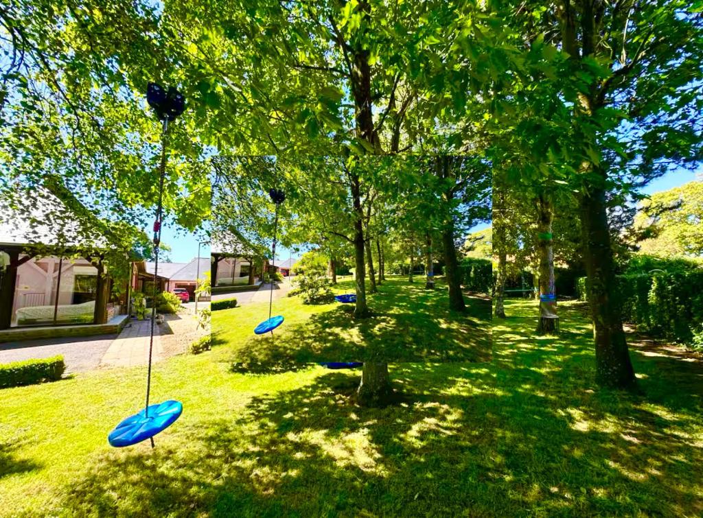 Grand jardin avec jeux pour enfants